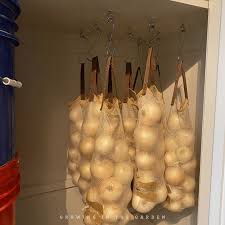 How To Grow Onions 10 Tips For