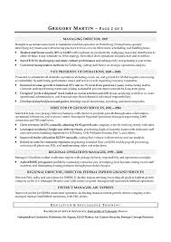 Resume Samples in Denver Colorado  Examples of Executive Resumes gmgihome gq