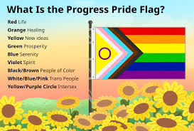 the colors of the new pride flag mean