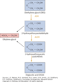 Diethylene Glycol Goldfranks Toxicologic Emergencies 11e