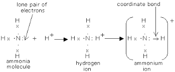 Image result for dative covalent bonding