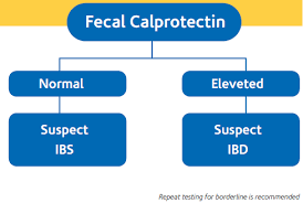 Fecal Calprotectin Test An Intestinal Inflammation Checker