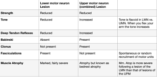 neuroscience week 8 motor clinical