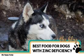 best dog food for huskies with zinc