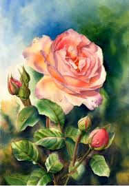 Rose Watercolor Painting By Doris Joa