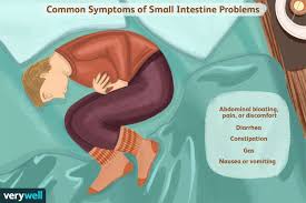 small intestine problems causes