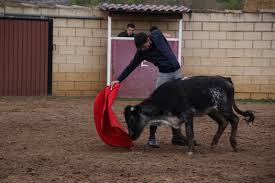 José Arcila Inicia su preparación en España en la ganadería de Álvaro y  Pablo Lumbreras - Burladero TV