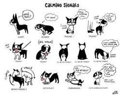 Bt Mood Chart Dog Body Language Dog Language Cute Dogs
