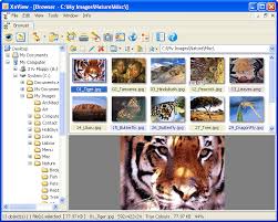 Best photo viewer, image resizer & batch converter for windows. Xnview Alternatives And Similar Software Alternativeto Net