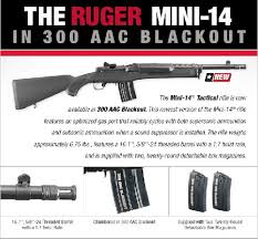 ruger mini 14 tactical in 300