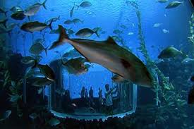 poema del mar spain is a huge aquarium