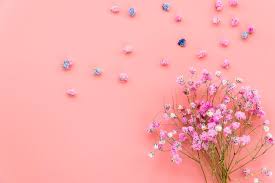 spring flowers desktop wallpaper images