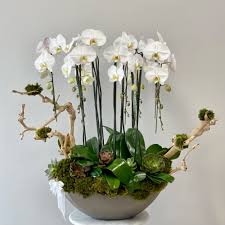 j adore orchid garden jlf las vegas