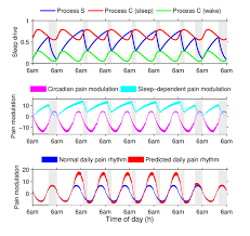 Predicted Pain Sensitivity Under Simulated Shift Work Schedule From