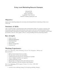 Director Of Marketing Cover Letter Entry Level Best Template