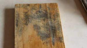how to get rid of mold on wood