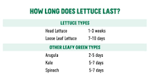 Does lettuce go bad in the fridge?