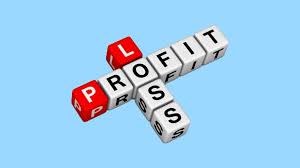 open p l meaning profit and loss