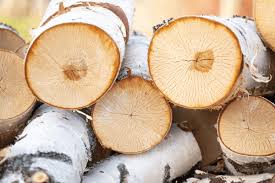 white birch decorative logs