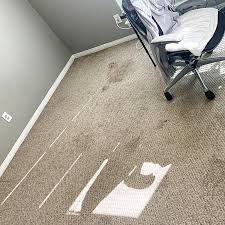 clean your home carpets