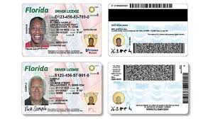 Maybe you would like to learn more about one of these? Florida Veterans Can Get Special Designation On Driver S Licenses Wtsp Com