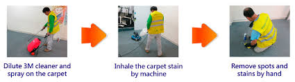 carpet cleaning pest control magic