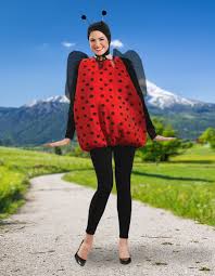 ladybug costumes accessories