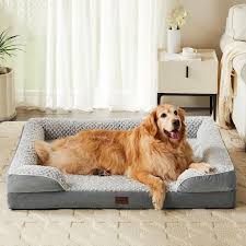 Dog Bed For Small Dogs Egg Crate Foam