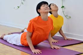 Our toronto yoga studios offer beginner to advanced classes in vinyasa, ashtanga, prenatal and postnatal, teacher training, retreats and private instruction. Hatha Yoga In Toronto Toronto Sivananda Yoga Centre