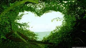 Love Nature Wallpapers - Top Free Love ...
