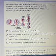 cell division that creates gametes