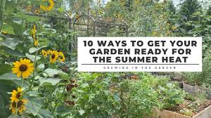 hot climate garden for summer