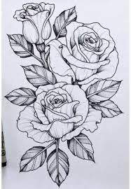 The 2 beautiful fuchsia illustrations below were created by my mum. 25 Beautiful Flower Drawing Information Ideas Brighter Craft Beautiful Flower Drawings Flower Sketches Rose Sketch