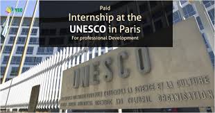 Cover Letter Internship Unesco   Example Good Resume Template