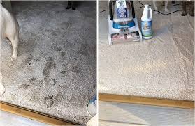carpet miracle carpet cleaner shoo