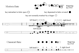 Flute Anatomy And Evolution