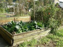 How To Set Up Your Vegetable Garden Bed