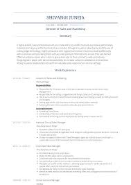 Director Of Sales And Marketing Resume Samples And
