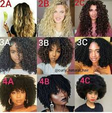 Type as have a wider pattern size, type bs. Natural Hair Guide Beginner Friendly What S Your Hair Type Wattpad