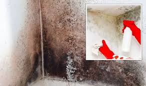 Removing Mould From Walls