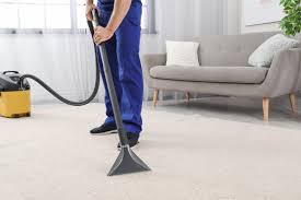 area rug cleaning steam dry canada