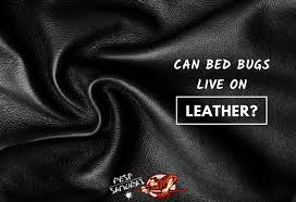 can bed bugs live on leather pest