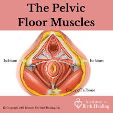 contract your pelvic floor muscles