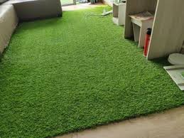 affordable gr carpet