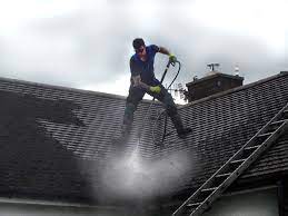 Roof Painting Roof Cleaning Roof