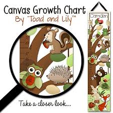 Canvas Growth Chart Woodland Animal Critters Kids Bedroom