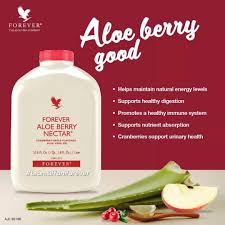 U slučaju bronhijalnih oboljenja aloe berry forever living product je najveći svjetski proizvođač aloe vere koji proizvodi 92% svjetske proizvodnje aloe vere i ima zadovoljene sve kriterije kako se ne bi. Forever Aloe Berry Nectar Food Drinks Beverages On Carousell