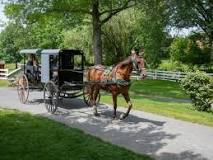 The Amish Farm and House de Lancaster | Horario, Mapa y entradas 3