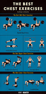 an ilrated chart of the best chest exercises