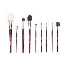 terry jacobs professional brush set